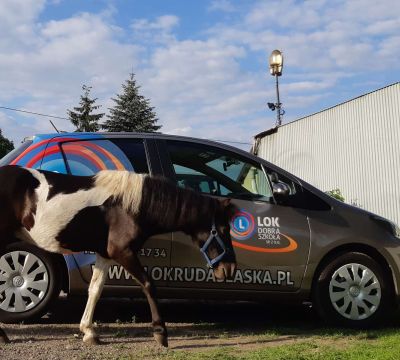 Dobra Szkoła LOK - nauka jazdy w każdych warunkach