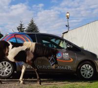 Dobra Szkoła LOK - nauka jazdy w każdych warunkach